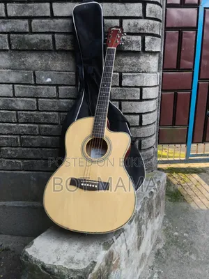 Acoustic Guitar