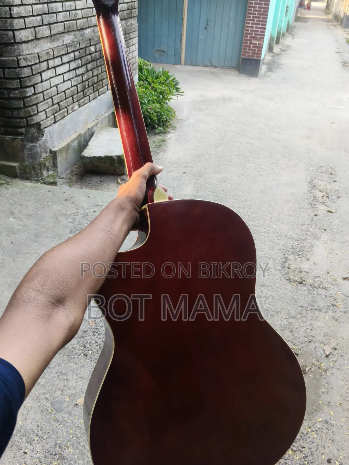 Acoustic Guitar