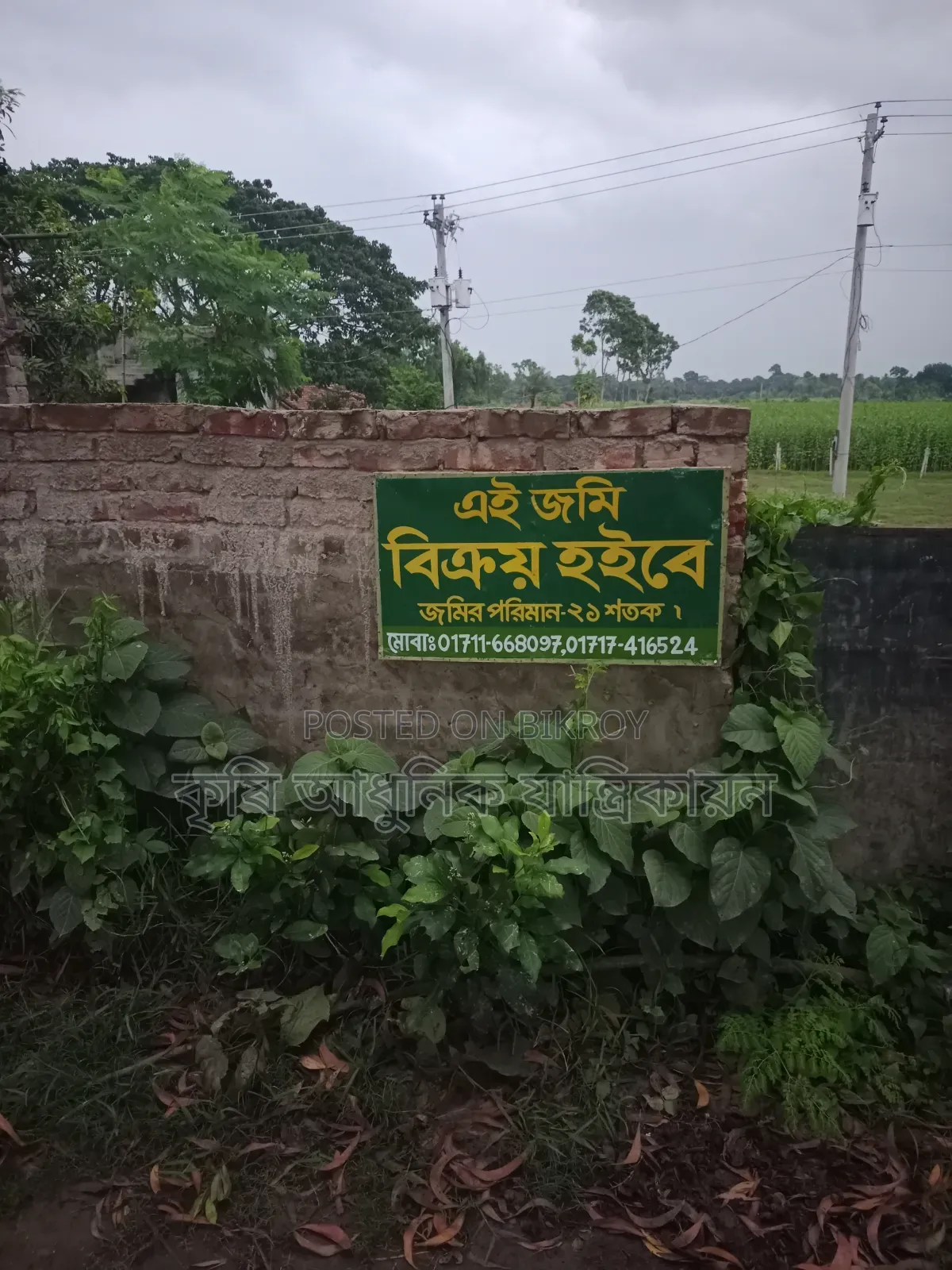 জমি বিক্রয় কলারোয়া