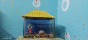 একটা একুরিয়াম বিক্রি হবে