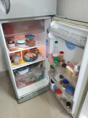 Lg Butterfly Fridge