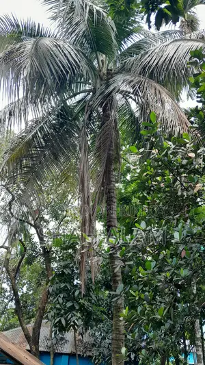 Land for sale in Dhap, Rangpur