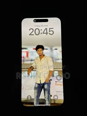 Apple iPhone 15 Pro Max 256 GB Gray
