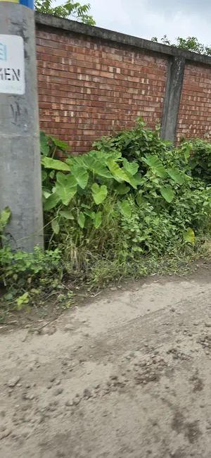 Rajuk Purbachal Lake View South Facing 8 Katha Plot Sell