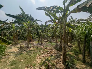 7.5 Katha Land Sell (Near Charghat-Rajshahi)