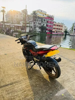 বাজাজ পালসার ১৫০ ২০১০ লাল
