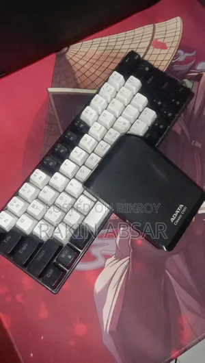 Adata Classic Ch11
