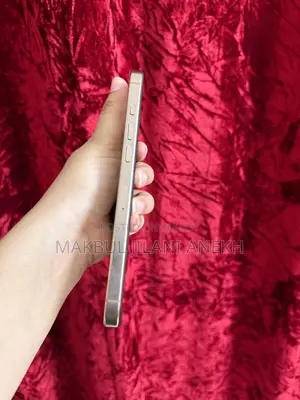 অ্যাপল আইফোন ১৬ প্রো ম্যাক্স ২৫৬ জিবি