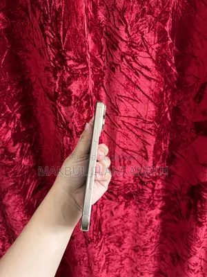 অ্যাপল আইফোন ১৬ প্রো ম্যাক্স ২৫৬ জিবি