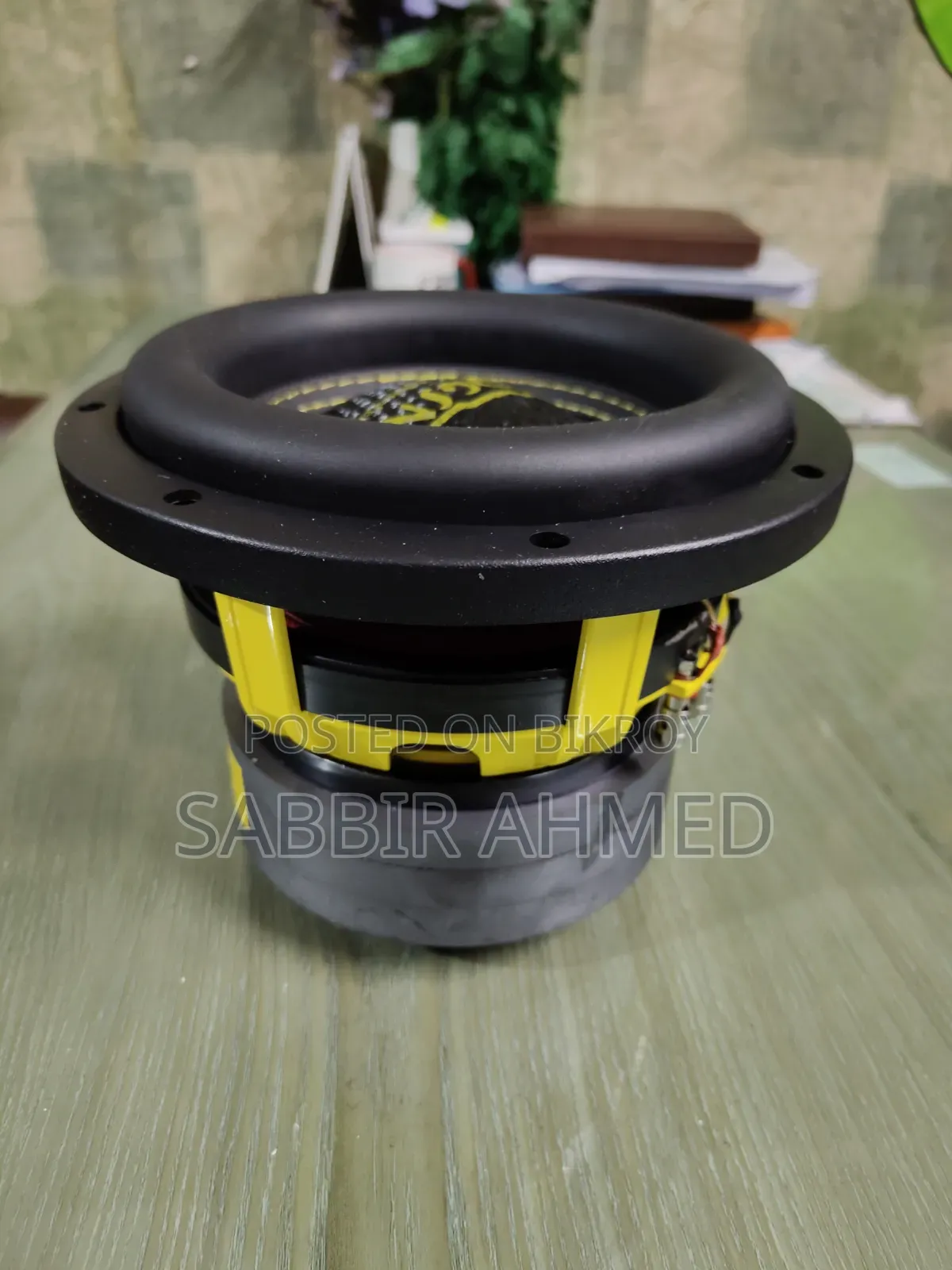 8 Inch Subwoofer