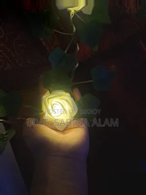 Rose Light