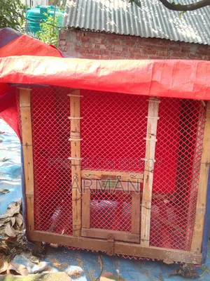 খাঁচা বিক্রি হবে