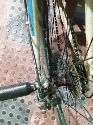 Stunt Cycle