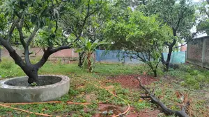 এই জমিটা বিক্রি হবে