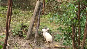 এই জমিটা বিক্রি হবে
