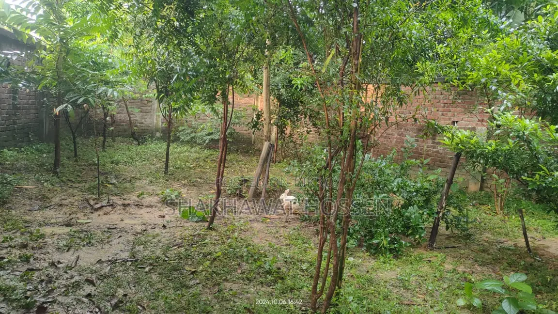 এই জমিটা বিক্রি হবে
