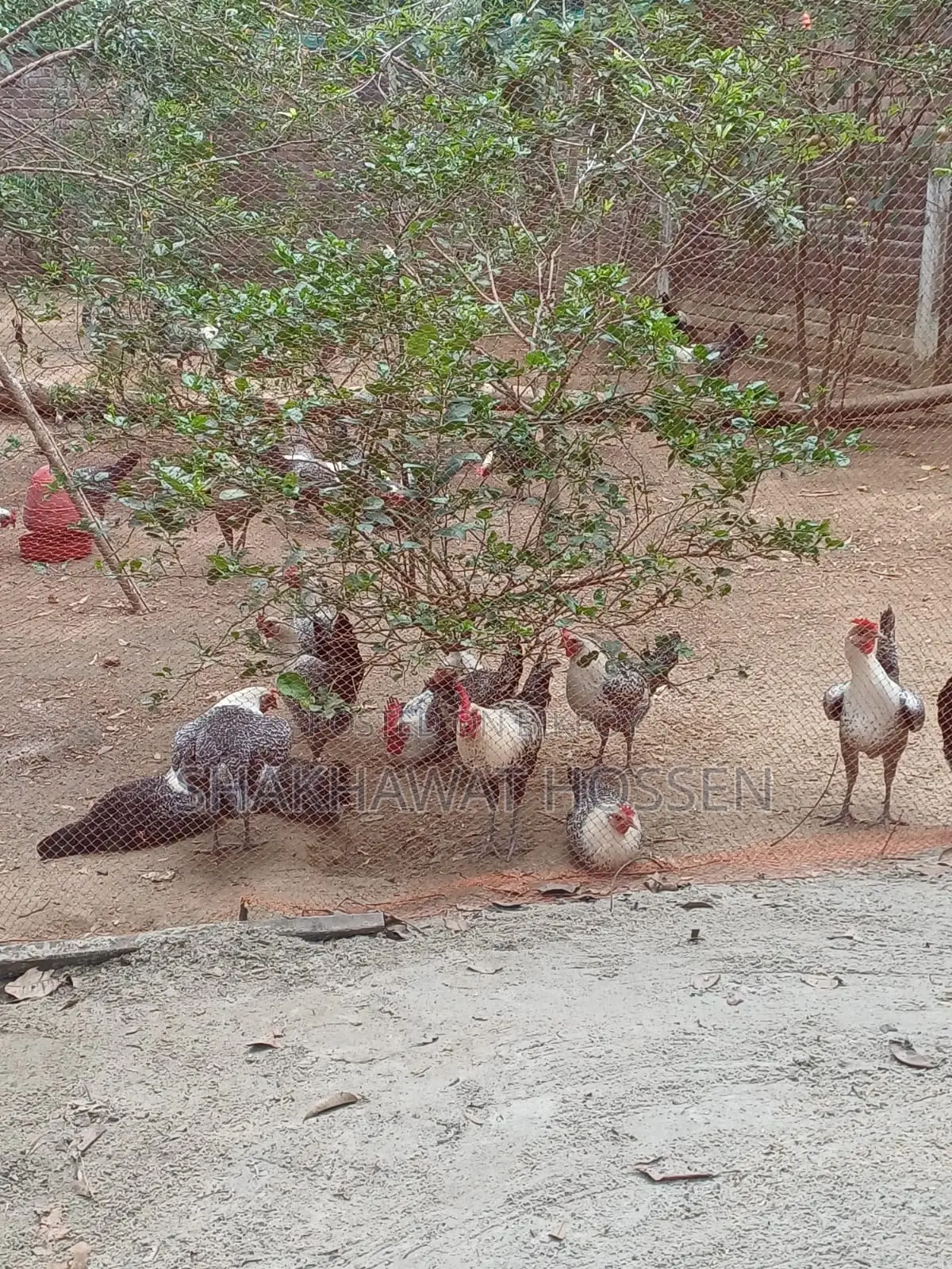 এই জমিটা বিক্রি হবে