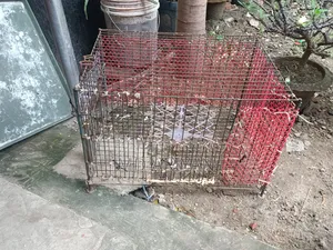 মোটা লোহার সিকের খাচা ১৮/২৪ ইনচি খুব শক্ত মুরগি কবুতর পালার খাচা