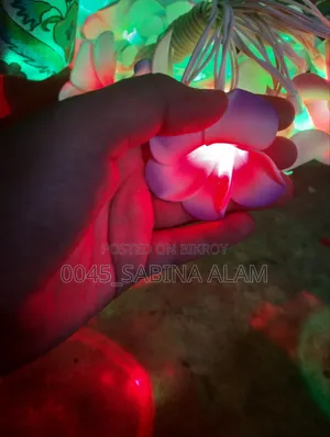 Kathgolap String Light