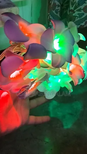 Kathgolap String Light