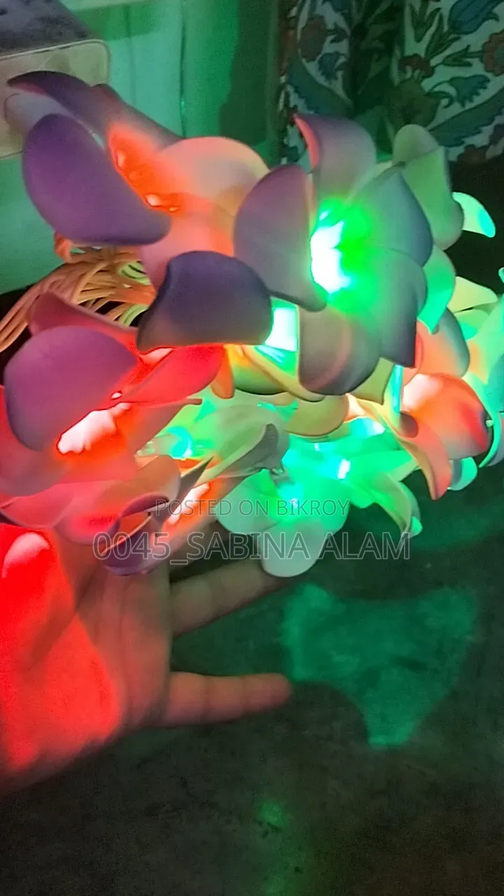 Kathgolap String Light