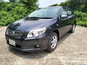 Toyota Axio 2011 Gray