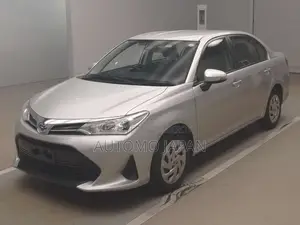 Toyota Axio 2021 Silver