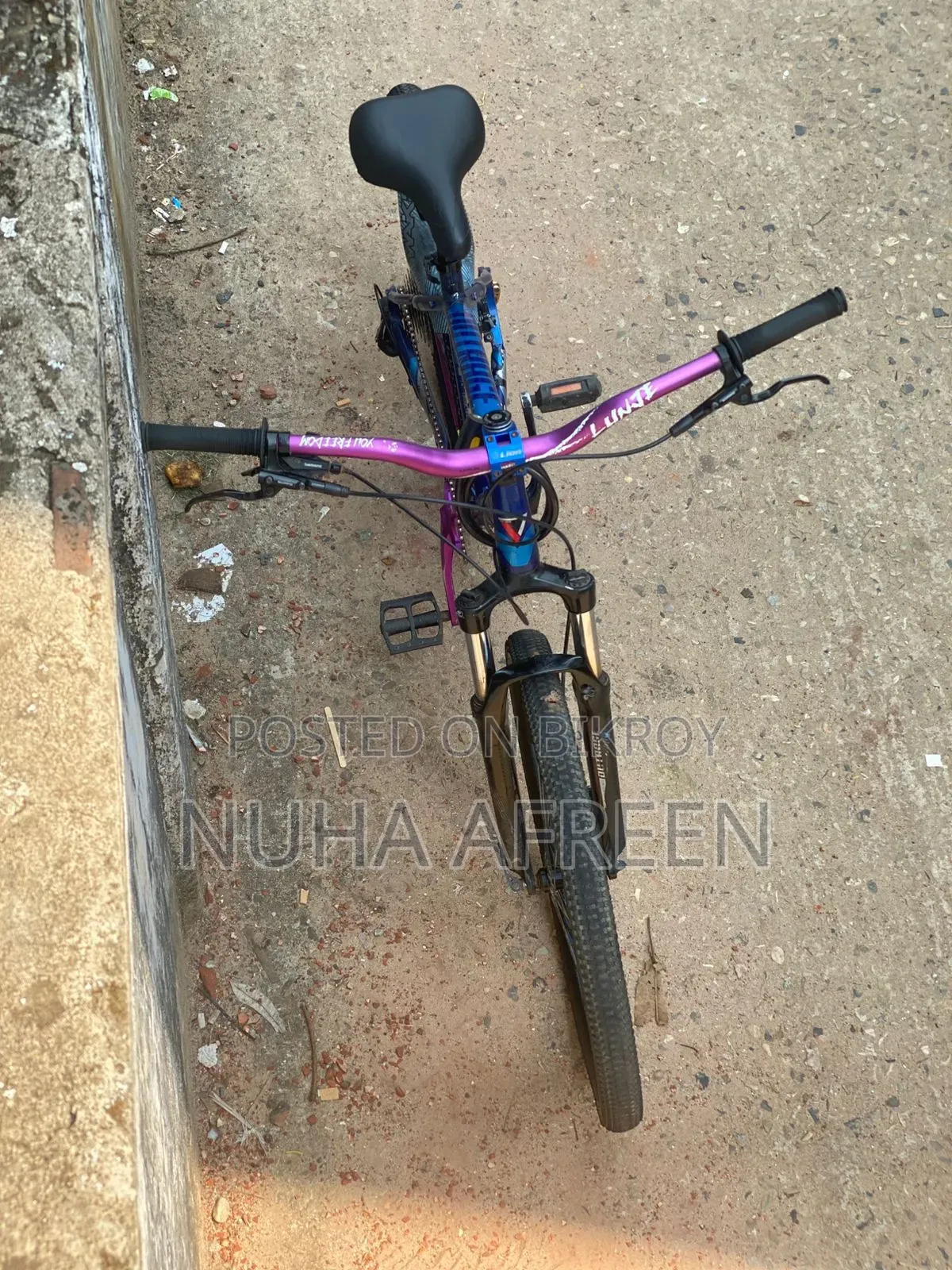 Bella's Cycle Stand 603