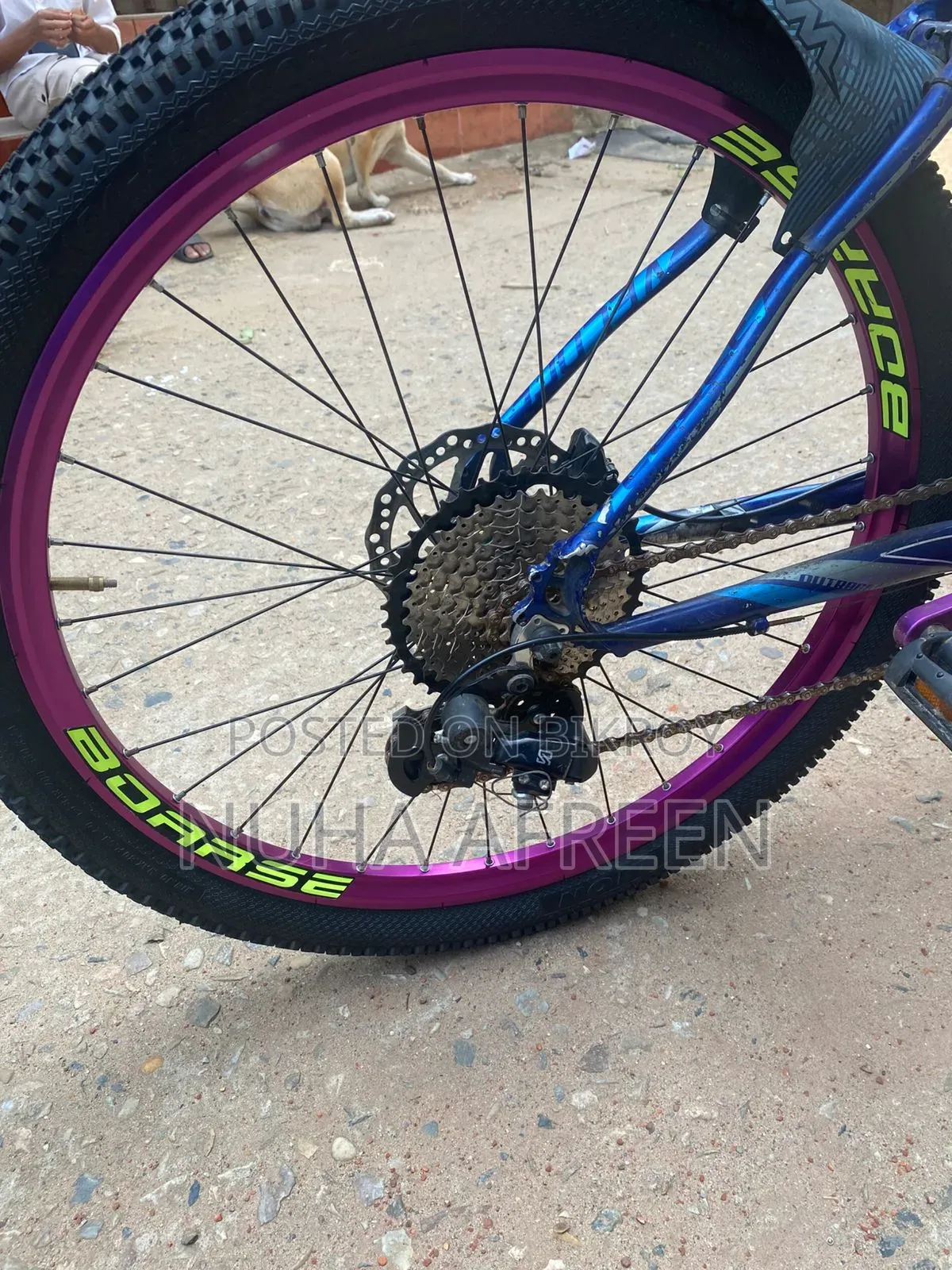 Bella's Cycle Stand 603