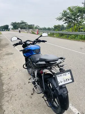 বাজাজ পালসার এনএস ১৬০ ২০১৯ নীল