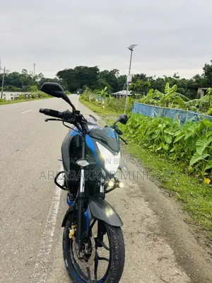 বাজাজ পালসার এনএস ১৬০ ২০১৯ নীল