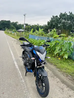 Bajaj Pulsar NS 160 2019 Blue