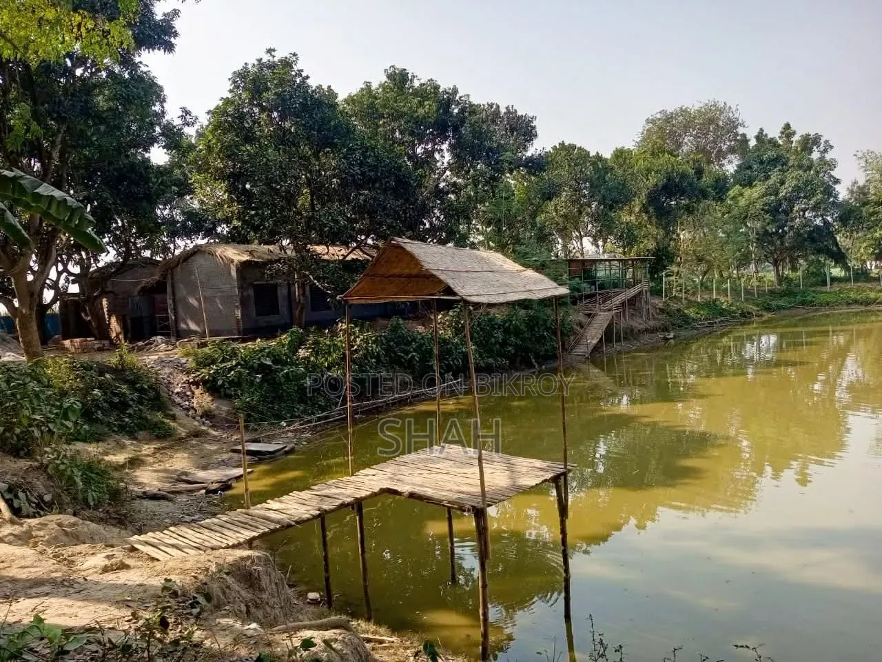 7 Bigha Homestead Project (including 2.75 Bigha pond)