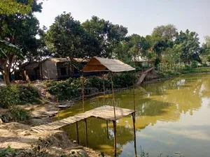7 Bigha Homestead Project (including 2.75 Bigha pond)