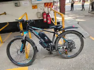 বীচ বাগি ২০২৫ কালো