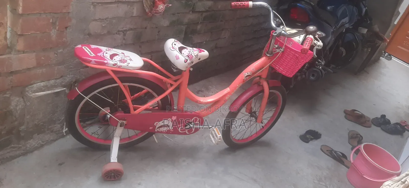 Baby Phoenix Cycle