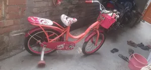Baby Phoenix Cycle