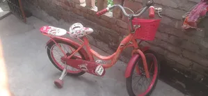 Baby Phoenix Cycle