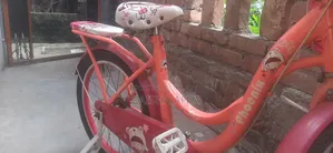 Baby Phoenix Cycle