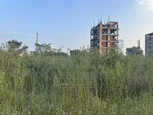 N-Block, 3-Katha, 3200-Serial, Urgent Plot Sale, Bashundhara R/A