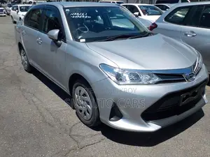 Toyota Axio 2021 Silver