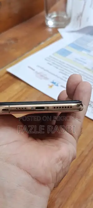 অ্যাপল আইফোন ১১ প্রো ম্যাক্স ২৫৬ জিবি গোল্ড