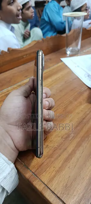 অ্যাপল আইফোন ১১ প্রো ম্যাক্স ২৫৬ জিবি গোল্ড