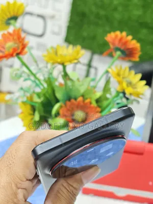 Xiaomi 15 Ultra 256 GB কালো
