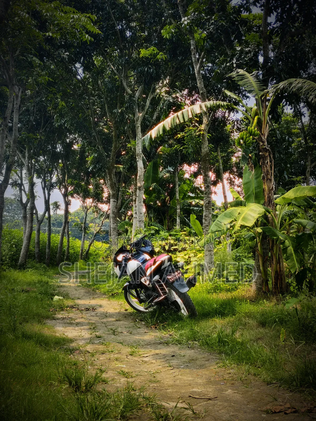 Bajaj Pulsar 150 2018 Black