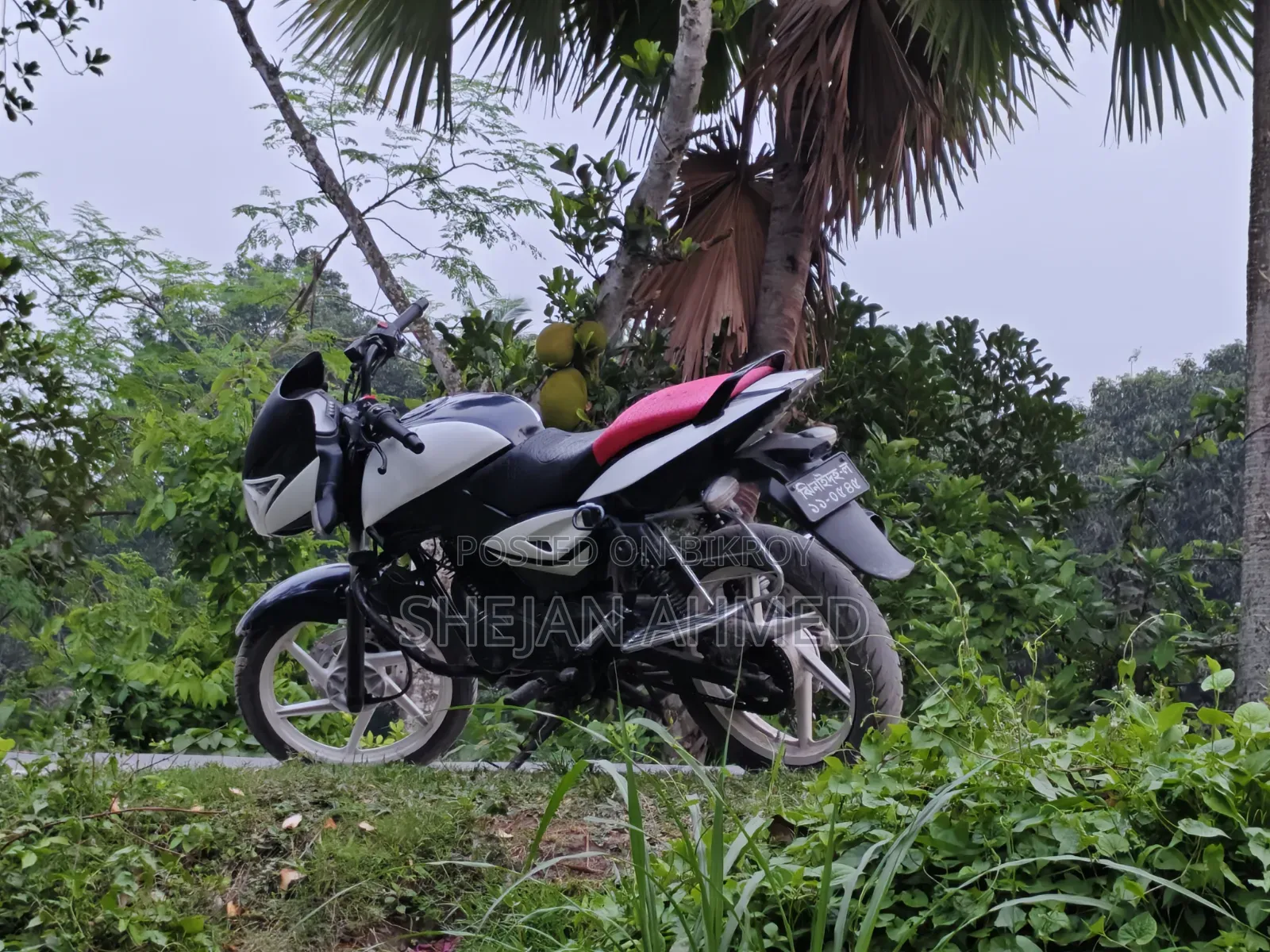 Bajaj Pulsar 150 2018 Black