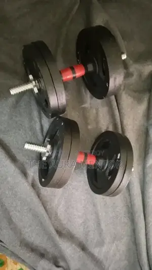 2 Dumbbells 10+10 20kg