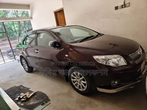Toyota Axio 2009 Red