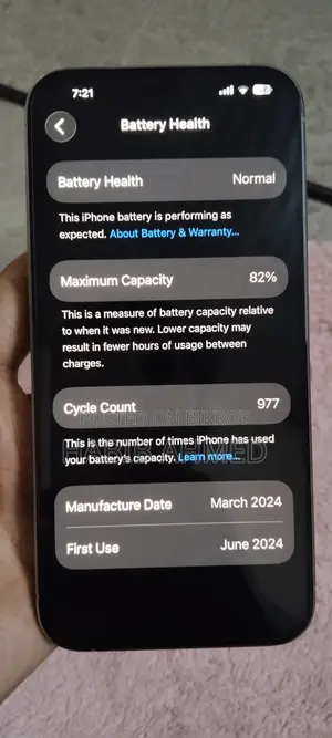 Apple iPhone 15 Pro Max 256 GB Silver
