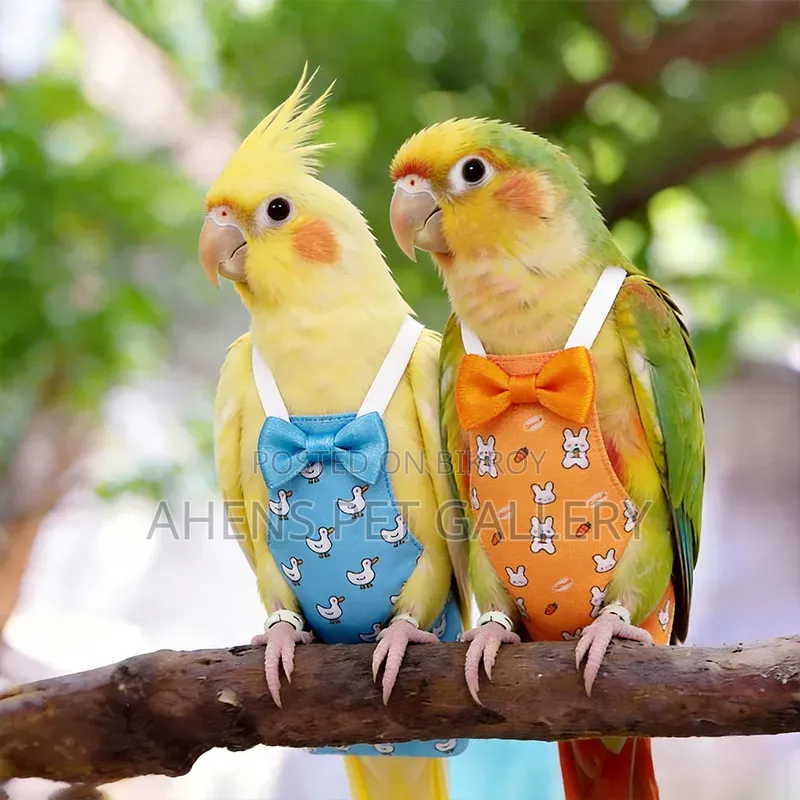 বার্ড ক্লথ ডায়াপার